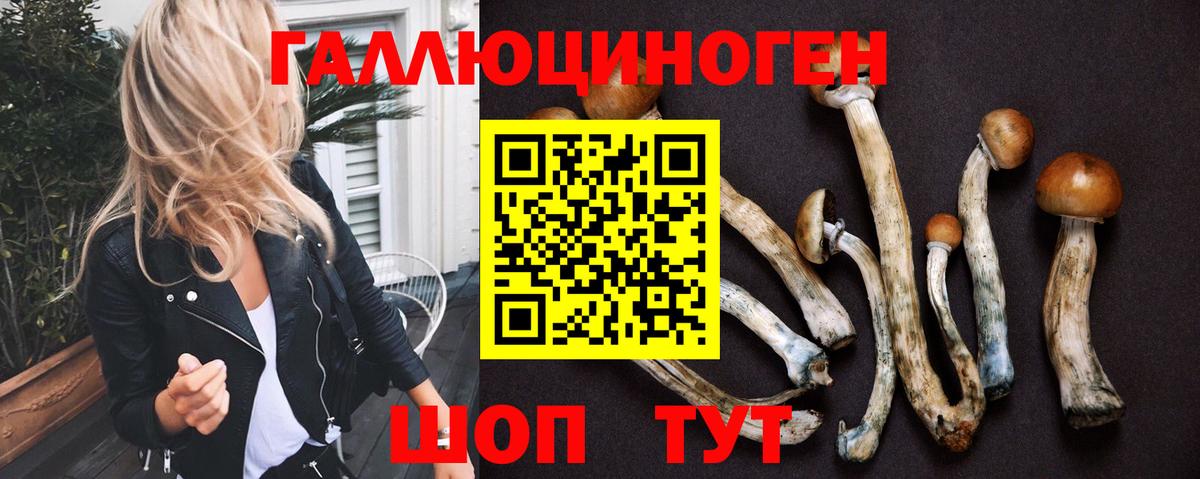 Галлюциногенные грибы прущие грибы  Вход с VPN  Черемхово 